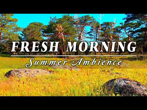 Relaxing Nature Ambience Meditation 🌾 SUMMER Morning Healing Sounds in the meadow #2
