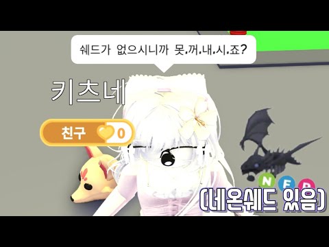 부자대결 중 쉐드 있는 척 계속 안 꺼내기 [입양하세요, 부자대결]