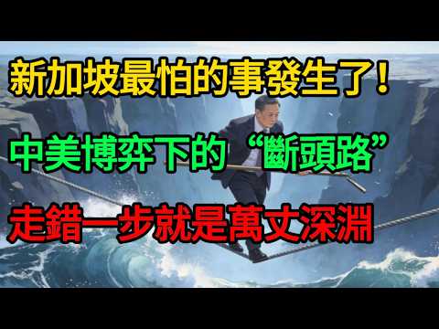 【深度復盤】新加坡最怕的事發生了！中美徹底攤牌，李光耀留下的「保命符」失效了？#麥子說事 #時事熱點 #時事評論