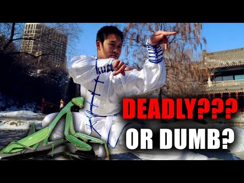 Southern Praying Mantis: Deadly or Just Weird?