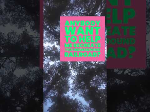 Historical Reenactment #hopecore #hope #core #corecore #standupcomedy #history #historical #annoying