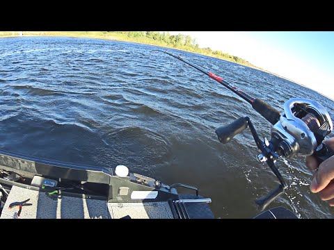 Как на Волге ловят ЧЕХОНЬ местные рыбаки? Поймать 15кг за рыбалку!