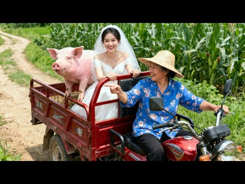 Forced to marry a rural comatose man, she expects a hard life, only to discover he’s a billionaire!