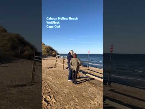 #cahoonhollowbeach #capecod #wellfleet #friendships #4CsReunion45 #shorts #youtubeshorts #yolo