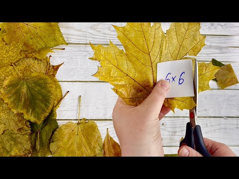 I SEW FANTASTIC THINGS FROM LEAVES FOR THE HOUSE! AMAZING RECYCLING