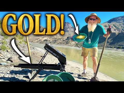 Why is there so much GOLD in the Fraser River?