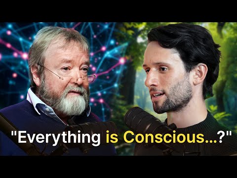 What if Everything is Conscious? | Dr. Iain McGilchrist Explains