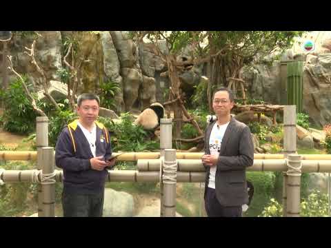 TVB Straight Talk|清心直說|為何海洋公園被視為香港的重要資產?|繁/簡/英字幕|無綫新聞 TVB News