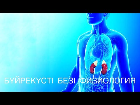 БҮЙРЕК ҮСТІ БЕЗІ ФИЗИОЛОГИЯСЫ |  ПАТОФИЗИОЛОГИЯ | SUPRARENALES