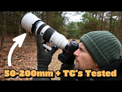 OM SYSTEM 50-200mm f/2.8 PRO Teleconverter Test: MC-14 vs MC-20 + Real-World Results