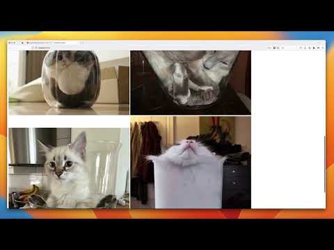 Free Docker Fundamentals Course - [DEMO] Working with existing docker images