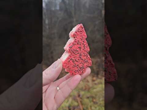 Freeze drying some trail snacks