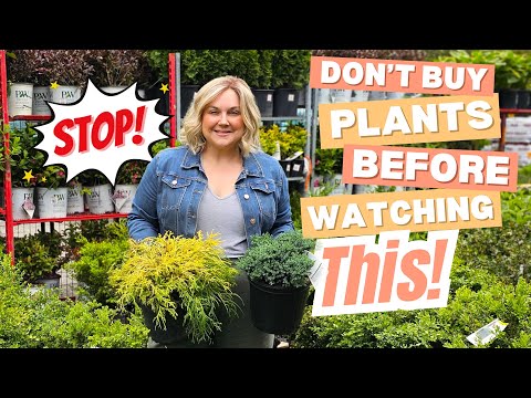 Garden Center Shopping Like a Pro! 🌿 Expert Tips to Pick the Best Plants & Shrubs