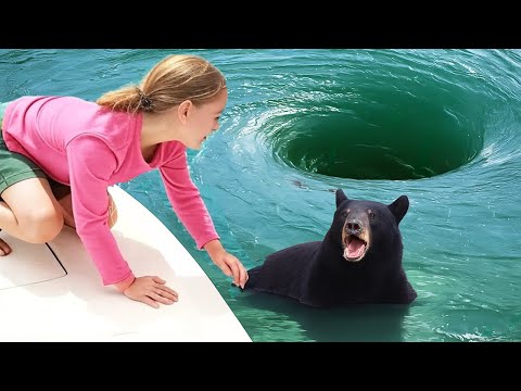 Animals That ASKED People For Help & Kindness!