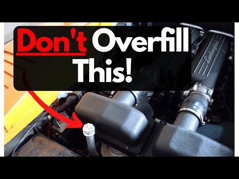 The Correct Way How To Check The Oil On Your Lamborghini Gallardo | Gallardo Oil Level  Reading