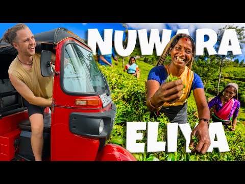 We Visited Sri Lanka’s Most Beautiful Hidden Gem!