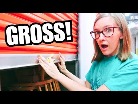 I Paid $50 For This Abandoned Storage Unit... Yikes!