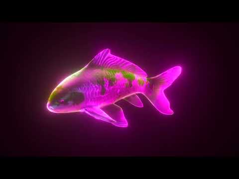 2 Hours 4K Futuristic 3D Neon Koi Fish Hologram Loop I Screensaver for Meditation