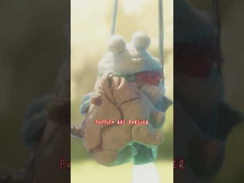 Hug your furry friends tight 🐶😺 - Team Sia