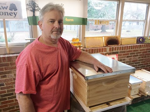 Building a 10 frame Langstroth beehive