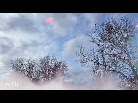 Eva Trecy -Enormous Tree