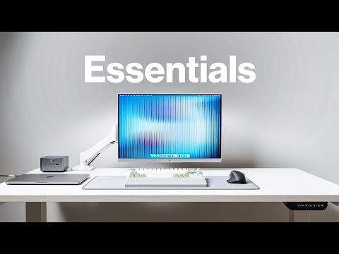 Desk Setup Essentials: Budget Edition!