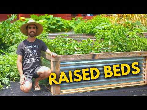 Beautiful DIY Metal Raised Garden Beds | Complete Guide