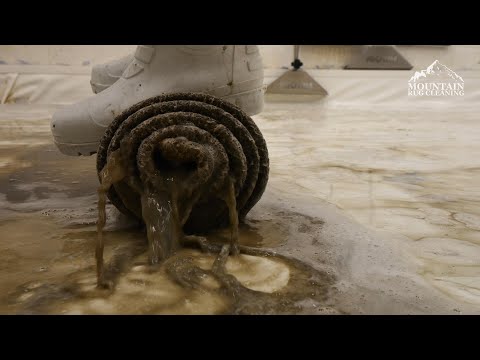 The Smell Of Excrement Was Strong In This One | Deep Cleaning a Rug That Smelled Like Poo