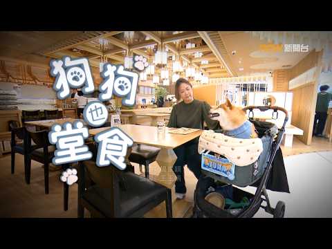 【經緯線】狗狗也堂食