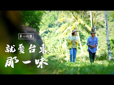 東海岸的生活藝術家 山渠裡的流水涼麵 天降椰子汁｜就愛台東那一味｜長濱卑南｜EP.1031｜在台灣的故事taiwanstory