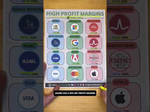 12 Stocks With Extreme Profit Margins