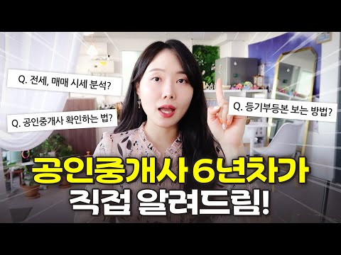 전세 계약 전/중/후, 유의사항 총정리📜 계약서에 이 특약사항만은 꼭 넣자!