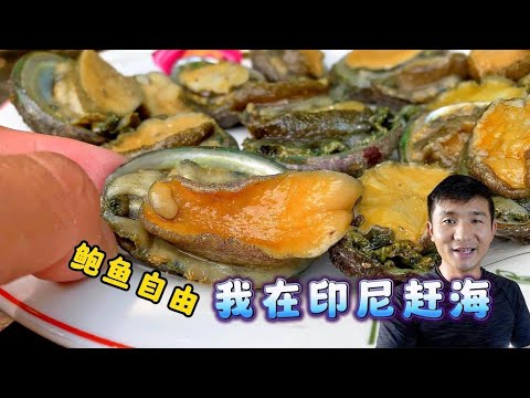 "Indonesia·Papua":This is definitely a treasure to catch the sea, abalone can be seen everywhere!