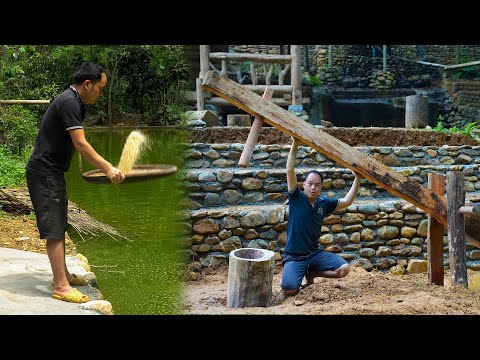 Here's How Manual Rice Processing Before Modern Machines