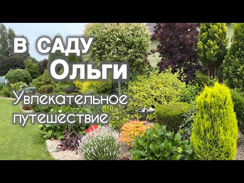 In Olga's garden! Charm and delight! The garden is a godsend for a gardening connoisseur!