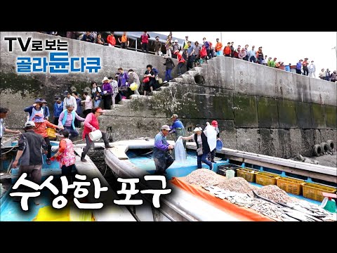 사람들이 엄청나게 몰려들었다. 자연산 아니면 열배로 환불해준다는 포구의 정체｜포구에서는 무슨일이 일어날까?｜한국기행｜#골라듄다큐