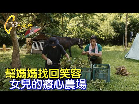 【台南】為了一年沒笑容的媽媽！ 女兒放棄遊學夢回台南東山種龍眼 打造療心農場 #一步一腳印
