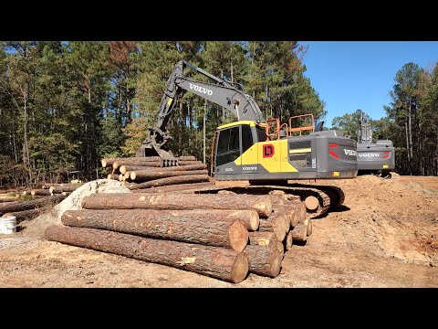 Lots Of Logs To Move And Front Yard Is On Grade!