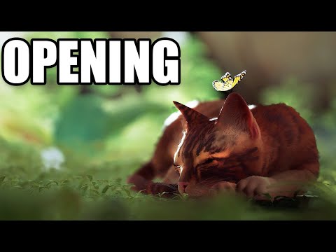 STRAY - Full Opening