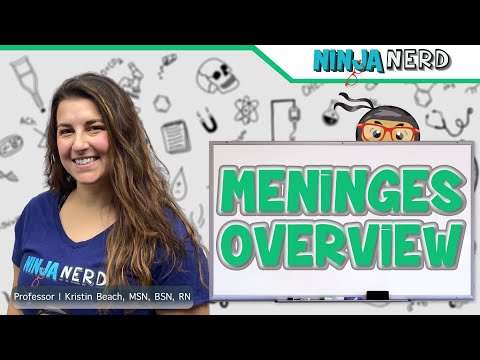 Meninges | Structure & Function