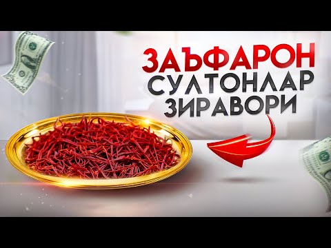 Олтинга тенг ягона зиравор - Заъфарон (шафран) | Доктор Гулбаҳор