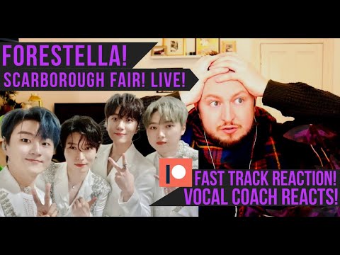 Vocal Coach Reacts! Forestella! Scarborough Fair! Live!