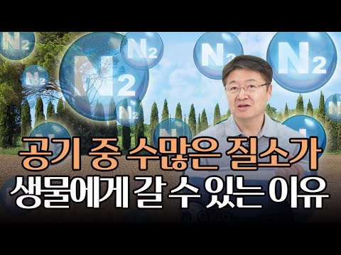 '이것'이 없으면 생물들 큰일납니다. 생물이 질소를 쓰기 위해 꼭 필요한 것!