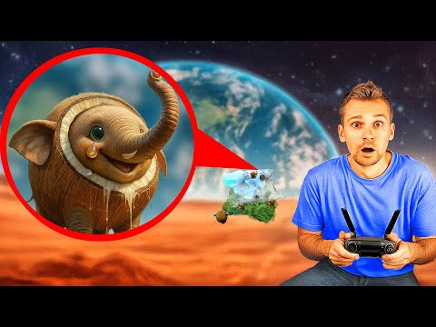 Мой дрон заснял Cocofanto Elefanto - Тропического Слона Кокофанто Элефанто в реальной жизни