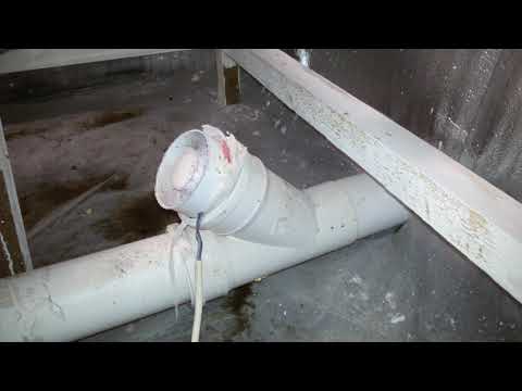 Помещение для выращивания вешенки