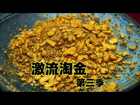 激流淘金s3：淘金小队终于挖到三年来最多的黄金，真是一把辛酸一把泪