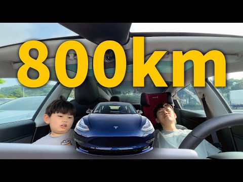 【純VLOG】特斯拉Model3的首次800km公路旅行！feat. IONIQ 6/韓國美女模特/兩天一夜 ｜大耳朵TV