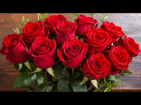 The best music 🌿 Relieves stress, calms the nervous system and gives deep peace