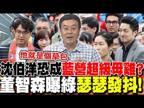 沈伯洋恐成"藍營超級母雞"?董智森曝綠"瑟瑟發抖"!