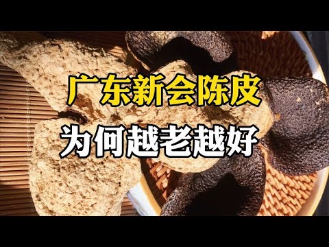 陈皮陈放时间越久,药效越好?如何辨别陈皮的新旧?陈皮专家给你解答【生活调查团】 #粤语